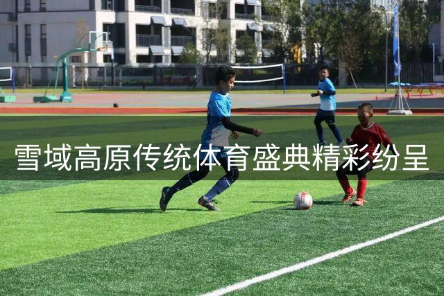 雪域高原传统体育盛典精彩纷呈